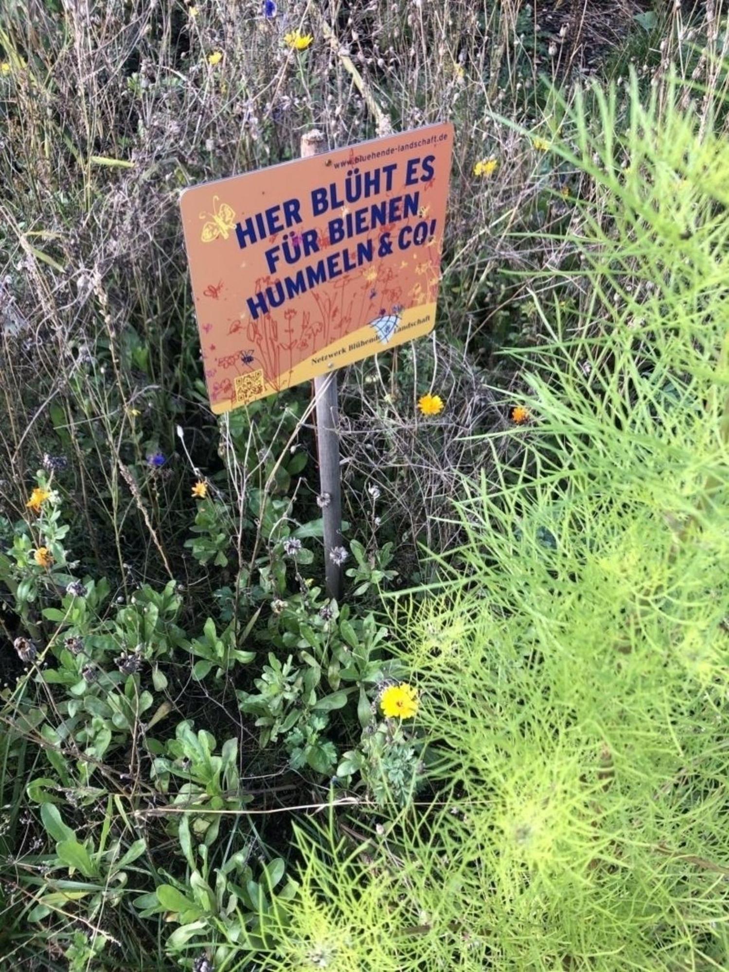 Meeresperle 5 Meeresrauschen Klutz Eksteriør bilde